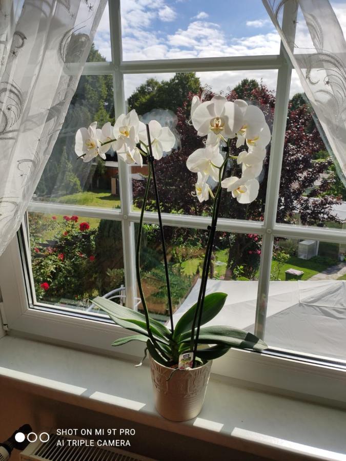 Blumen Apartment ハンブルク エクステリア 写真